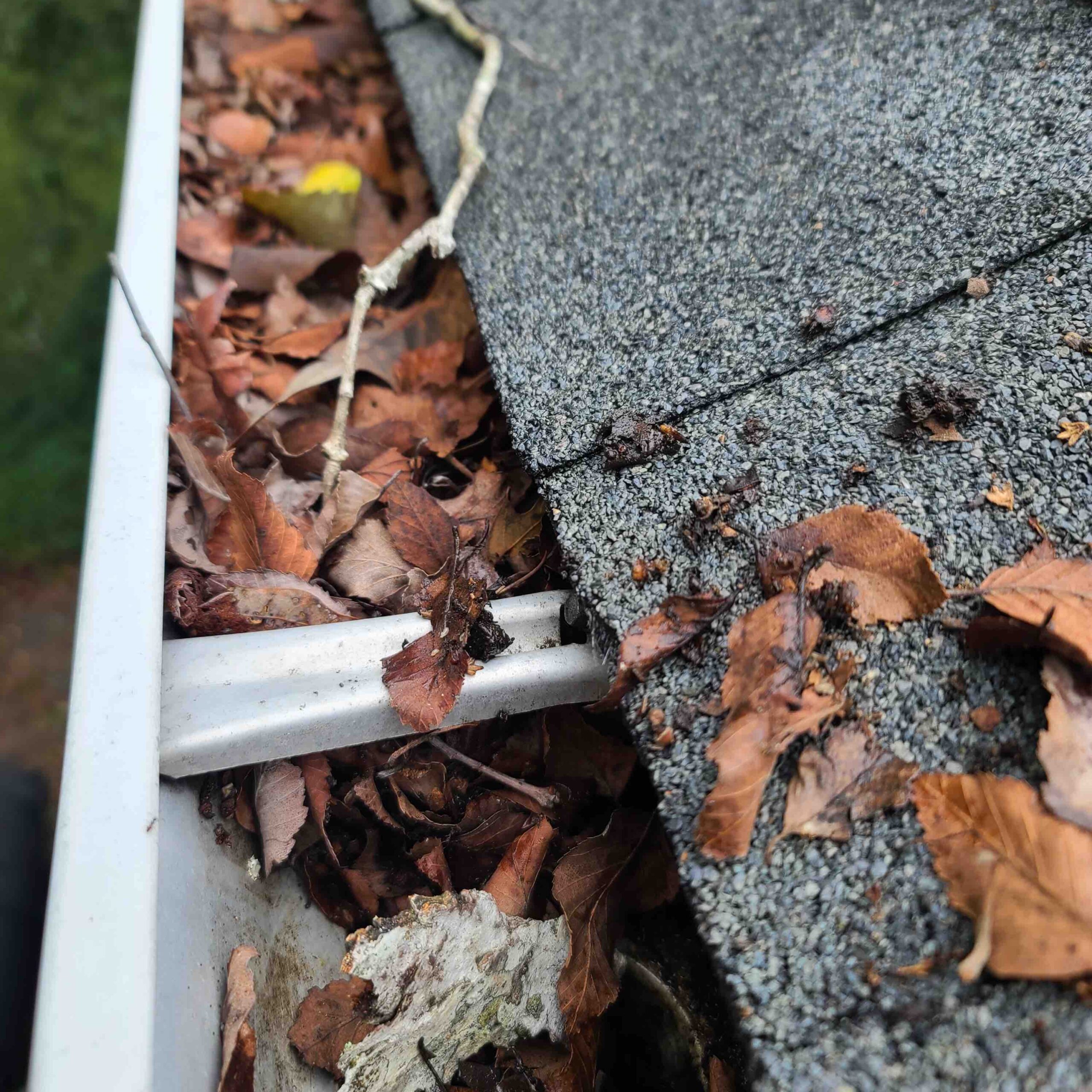 Uncovered gutter clogged with leaves that needs to be cleaned